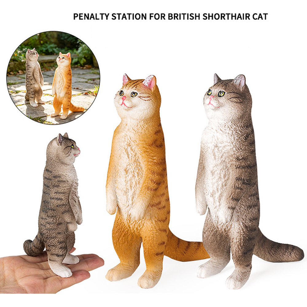 Staande Britse Korthaar Kat Be - Home Office British recensie en prijs