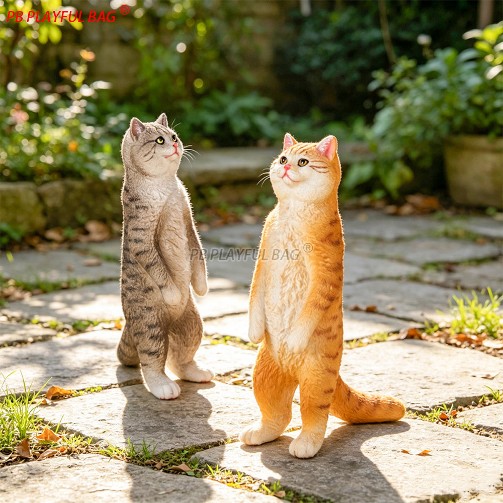 Staande Britse Korthaar Kat Be - Home Office British recensie en prijs